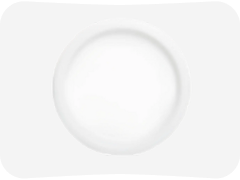 White Party Supplies