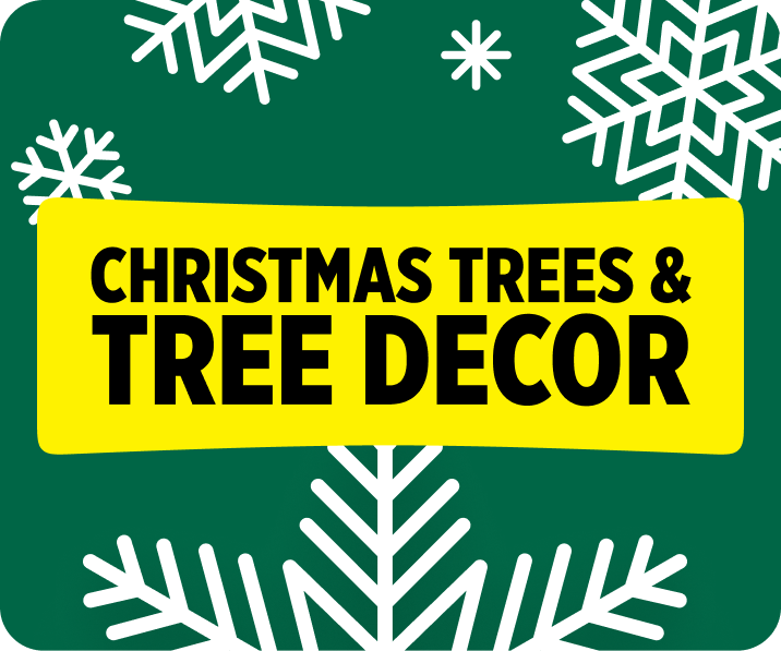 Holiday Decor