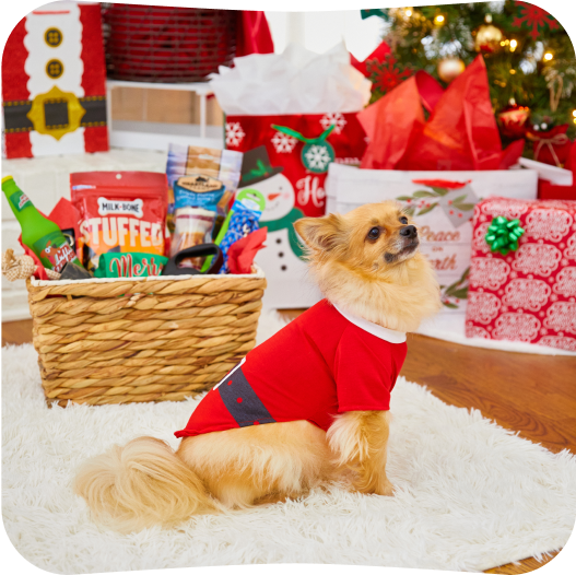 Gifts for Pets