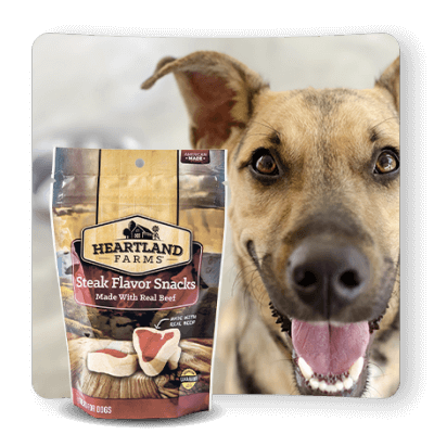 Dollar general shop dog treats
