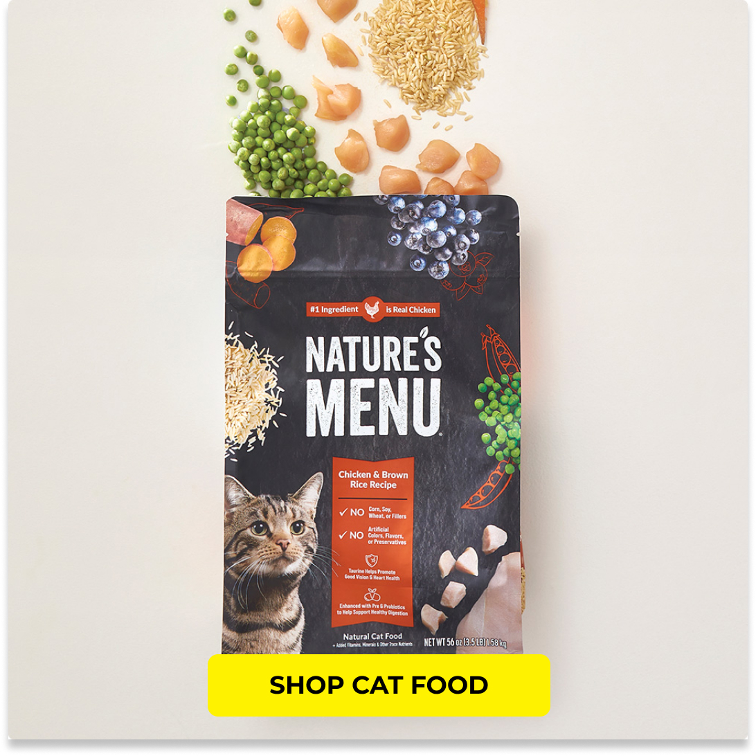Dollar general best sale wet cat food