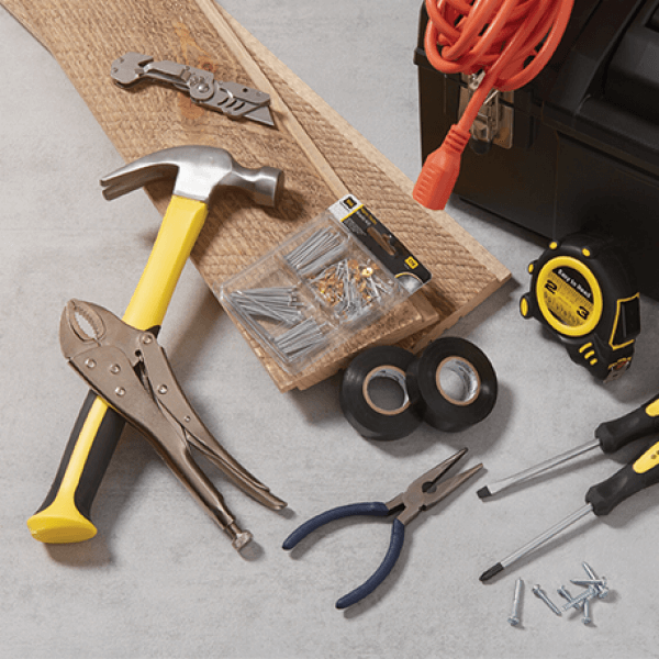 Sandpaper dollar best sale general