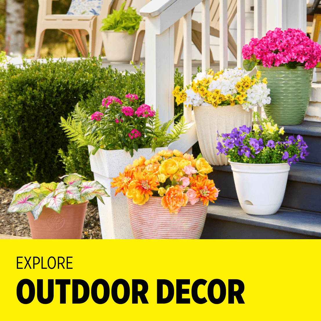 Outdoor Living Finds