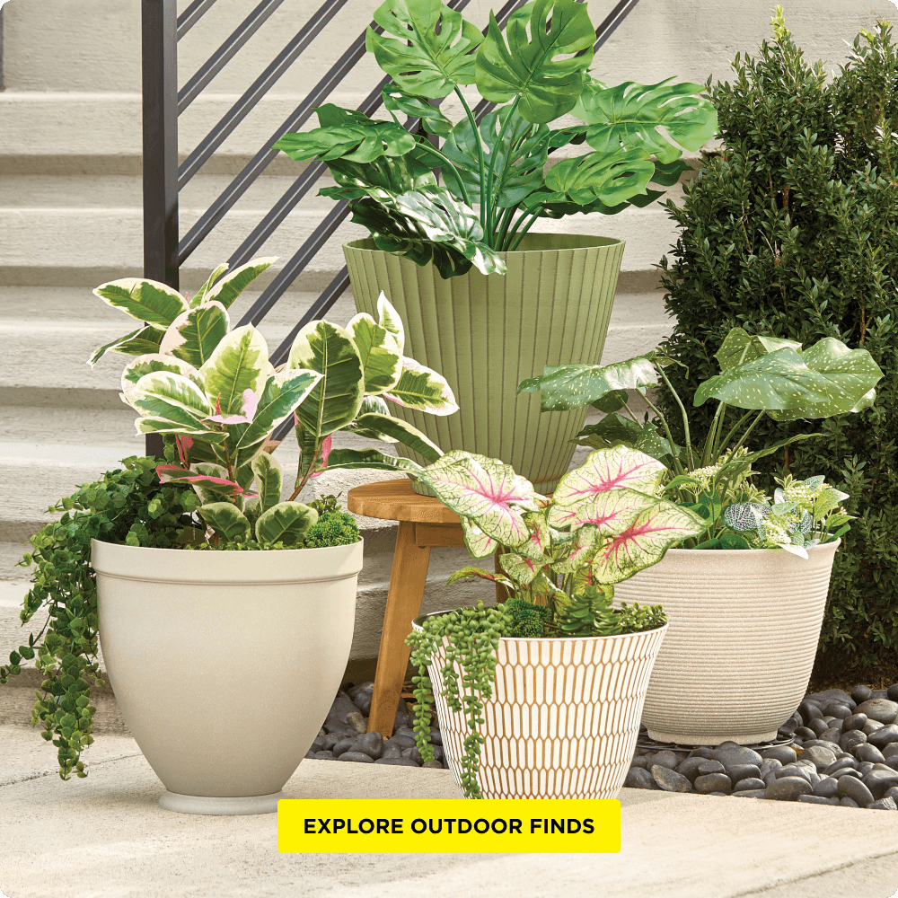 Outdoor Living Finds