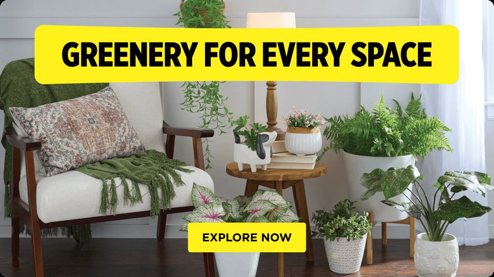 Decor Your Way