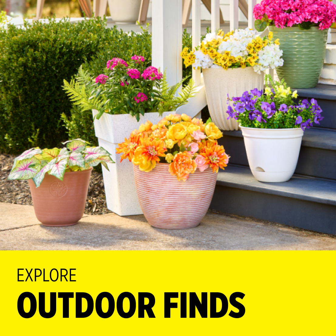 Outdoor Living
