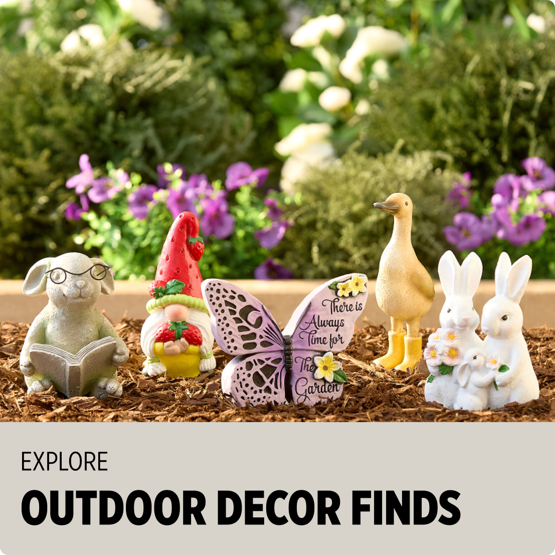 Explore Outdoor Decor Finds at Dollar General