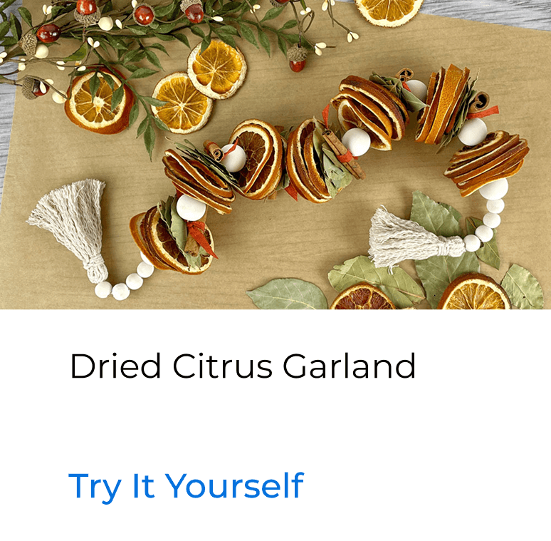 Dried Citrus Garland