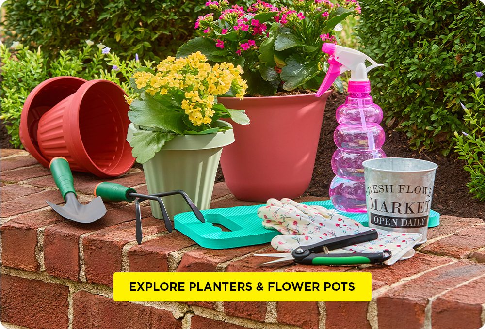 Shop Planters and Flower Pots