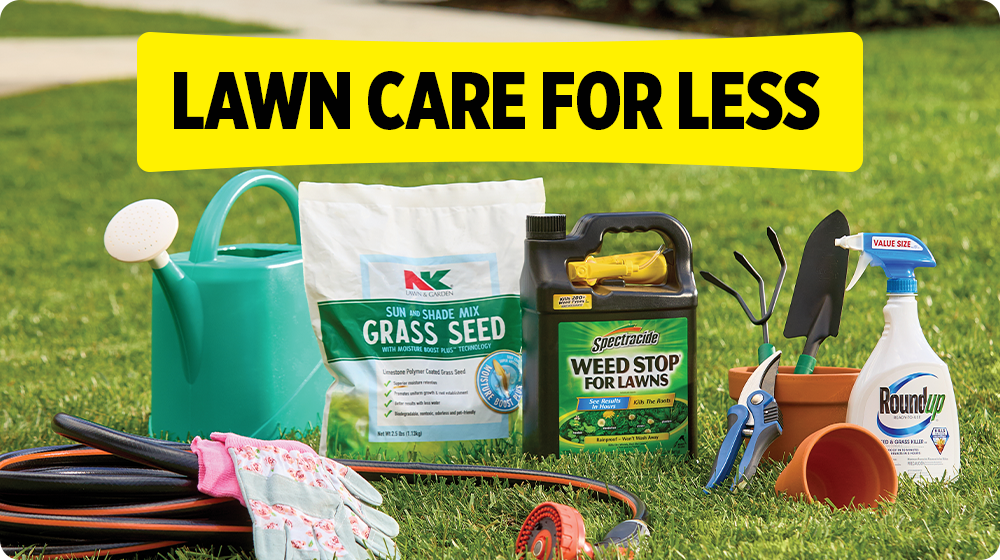 Lawn Care for Less