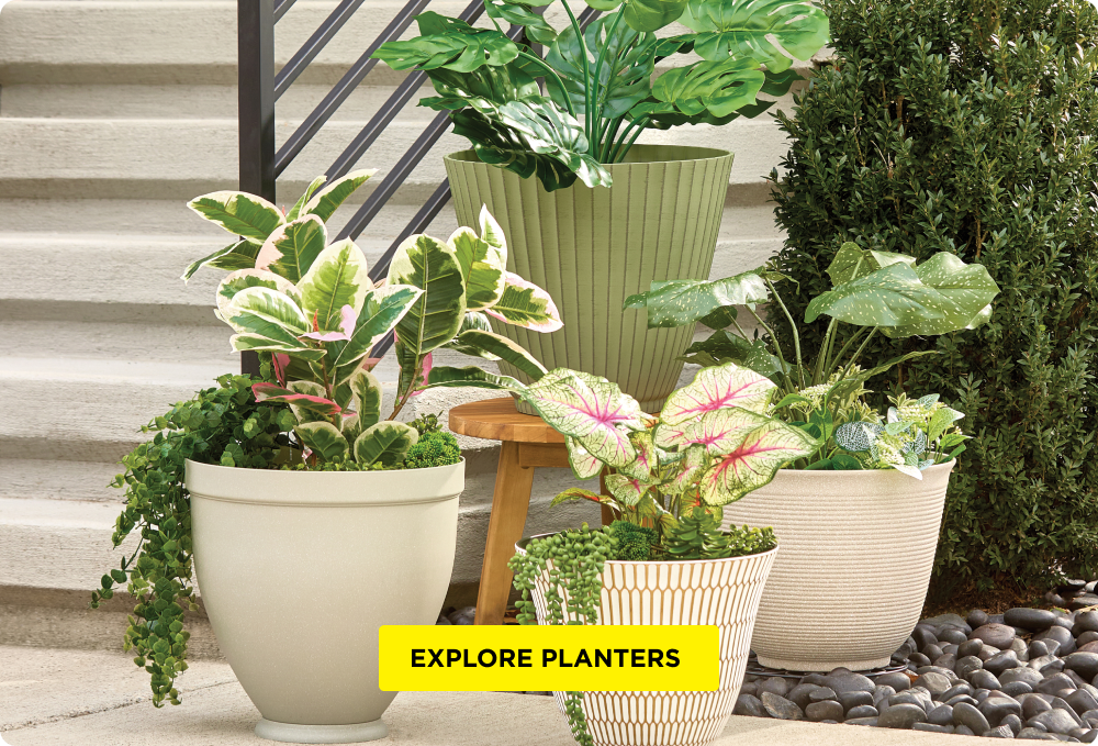 Planters