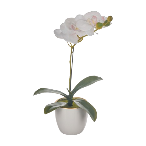 Mothers Day