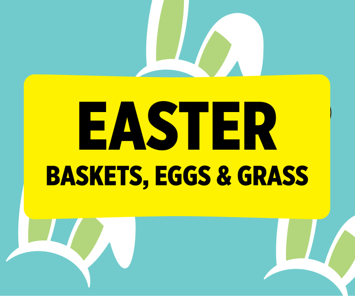 Easter Baskets, Eggs & Grass