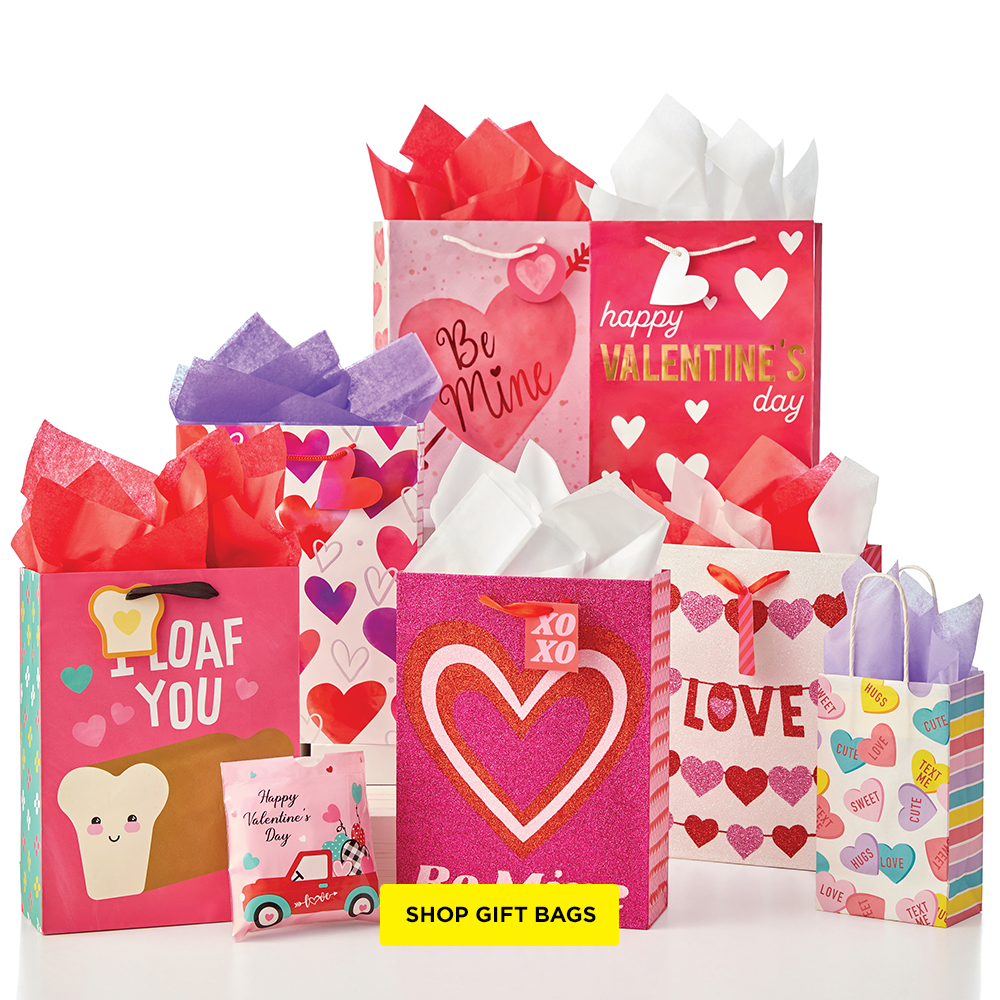 https://www.dollargeneral.com/c/seasonal/valentine-s-day/_jcr_content/root/responsivegrid/dgcontainer_73861796_1861138478/container1.coreimg.jpeg/1703251279656/dec-section-1000x1000-gift-bags.jpeg