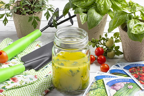  Herb Salad Dressing Recipe