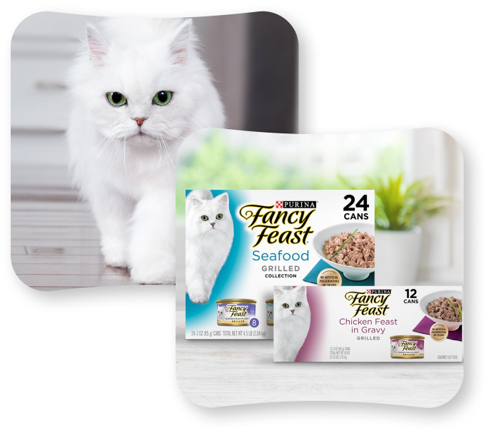 Fancy Feast cat food