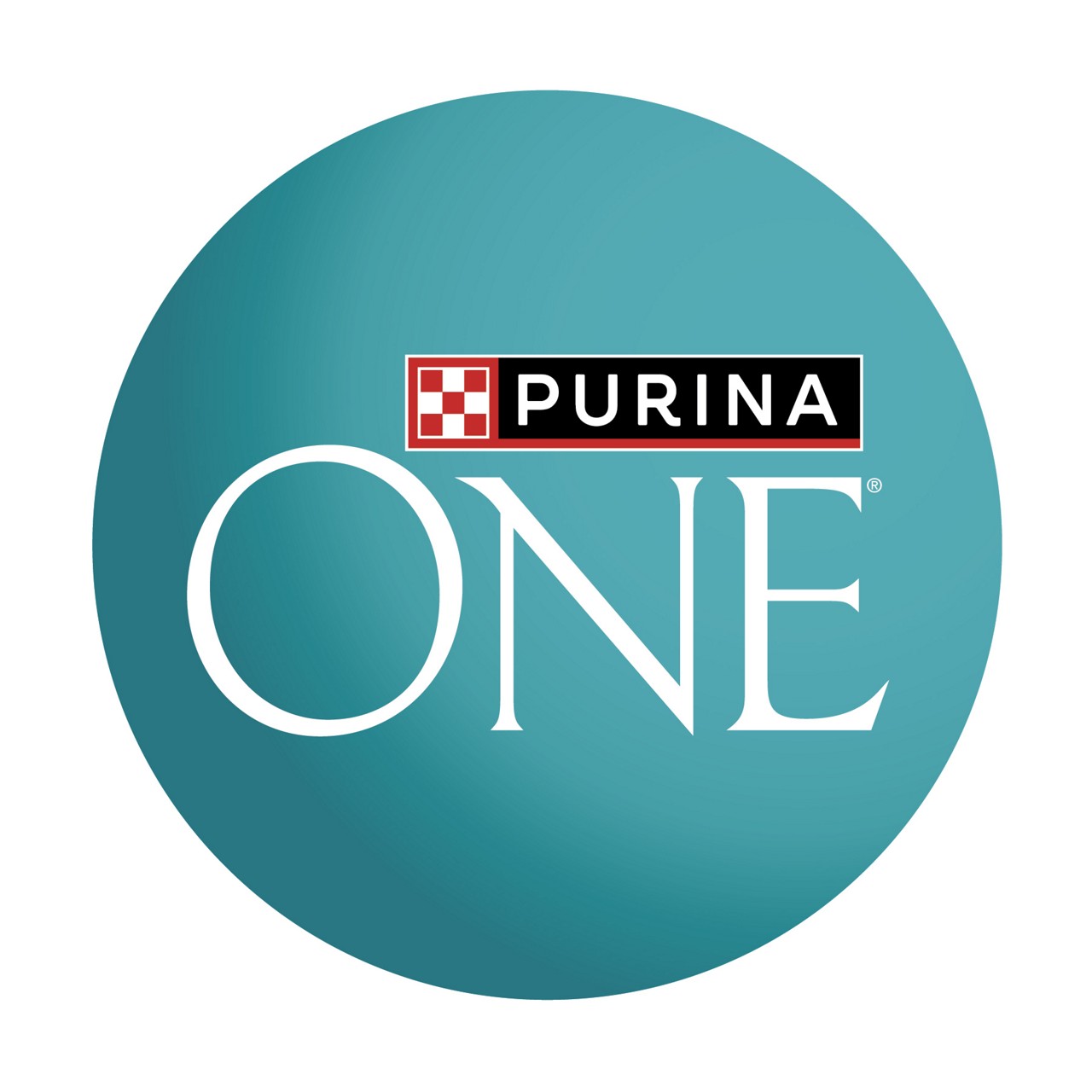 Purina ONE cat food