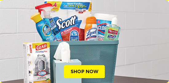 Buy cheap cleaning supplies for the classroom at Dollar General.