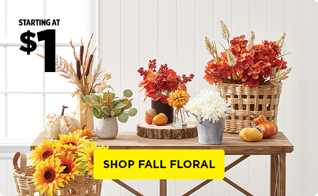 Shop Fall Floral in Dollar General