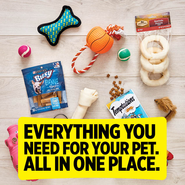 Everything You Need For Your Pet