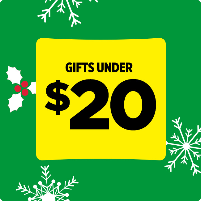 Gifts Under 20 Dollars