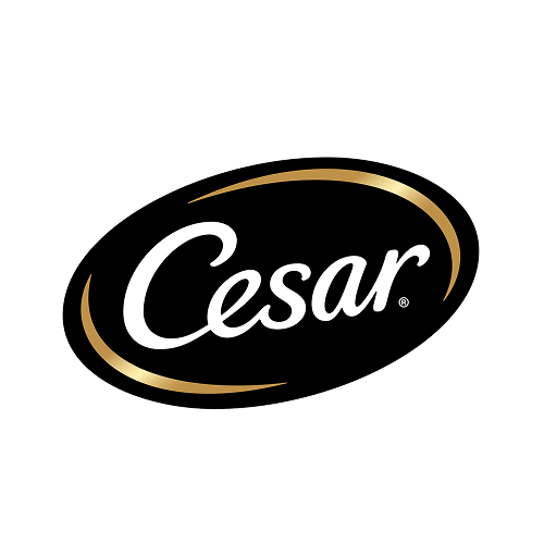 Cesar