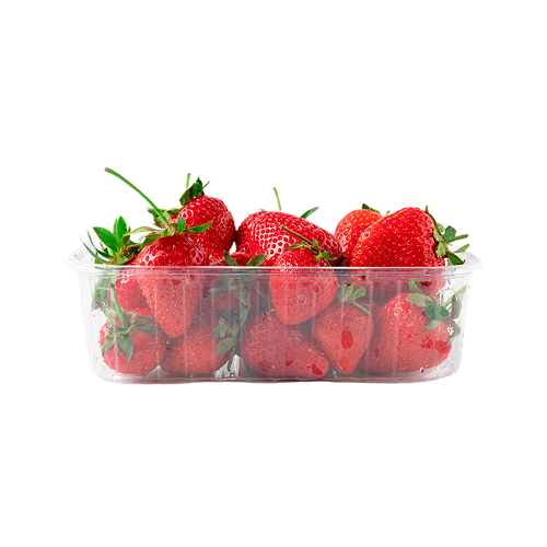Fresh Fruit