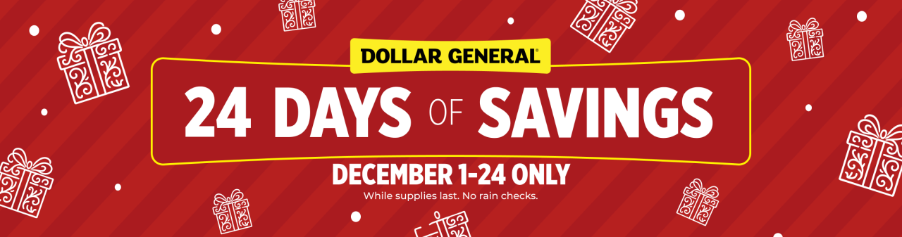 24 Days of Savings
