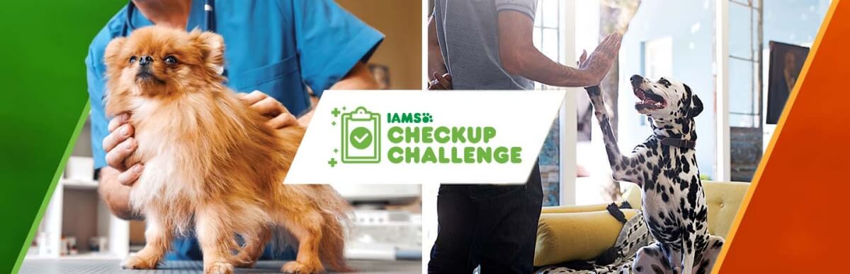 IAMS check up challenge