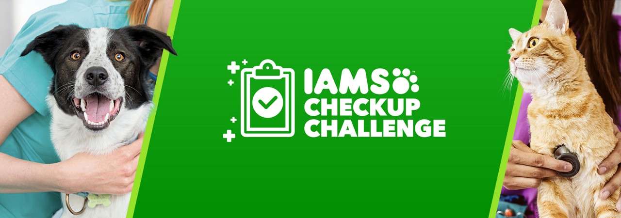 IAMS Checkup Challenge