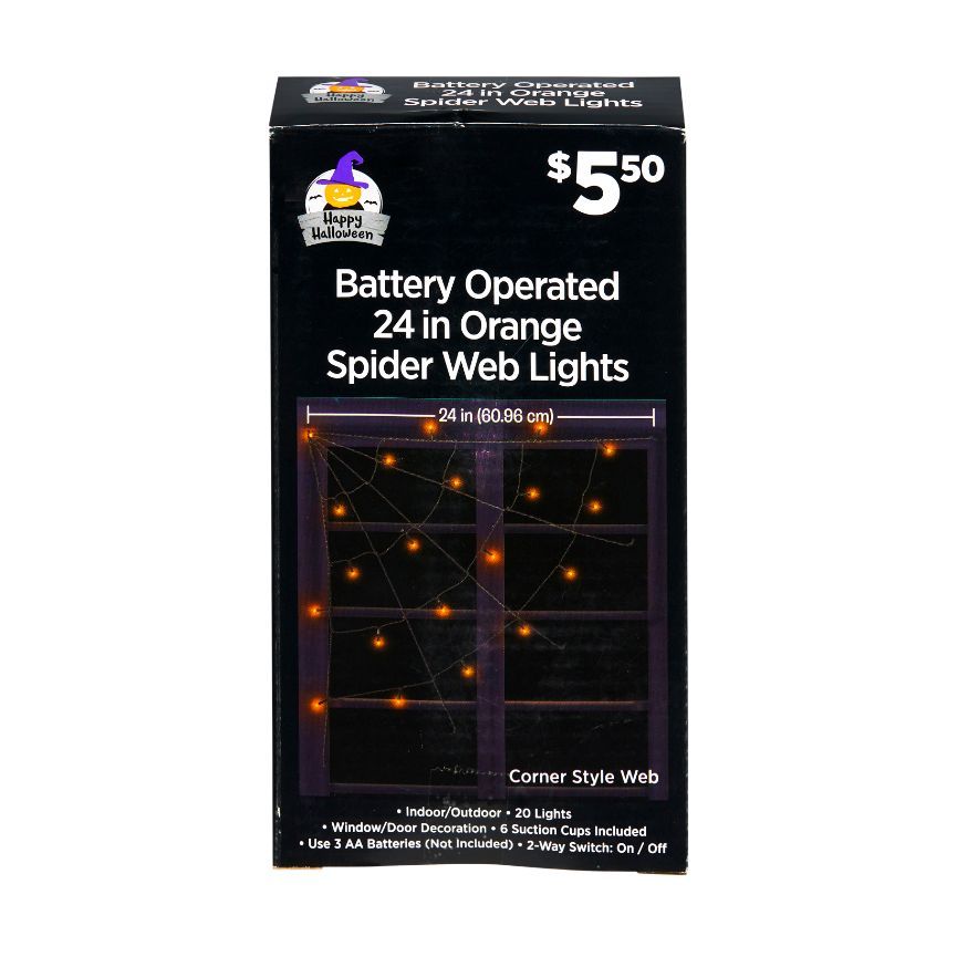 Halloween Battery Operated Spider Web Lights - Assorted, 24"