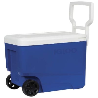 Save on outdoor dining essentials only at DG!