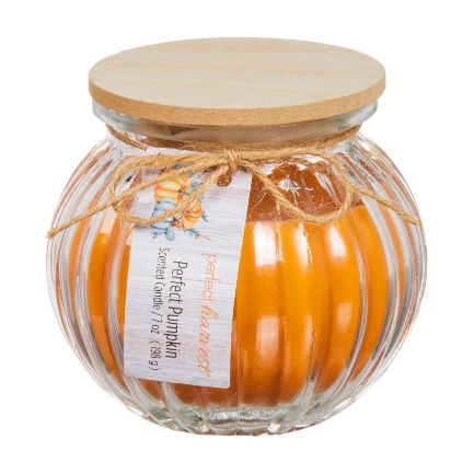 Perfect Harvest Pumpkin Jar Scented Candle - Assorted, 7 oz