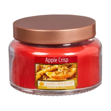 Perfect Harvest Copper Top Fall Scented Candle - Assorted, 8 oz