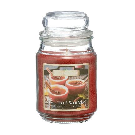 Perfect Harvest Richly Scented Candle - Cider & Warm Spices, 18 oz