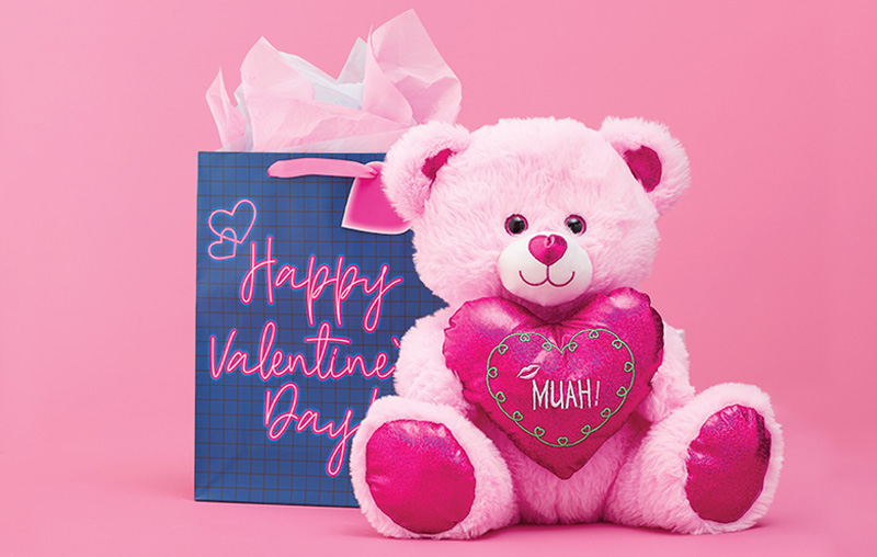 image of valentines plush bear gift and valentines bag