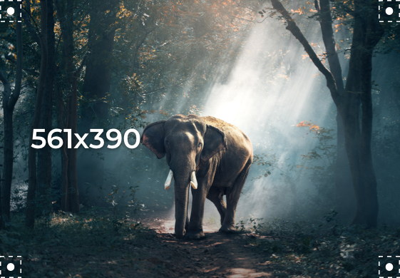 sample alt text